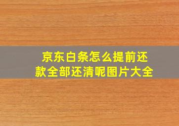 京东白条怎么提前还款全部还清呢图片大全