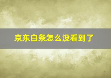 京东白条怎么没看到了