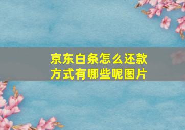 京东白条怎么还款方式有哪些呢图片