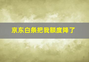 京东白条把我额度降了