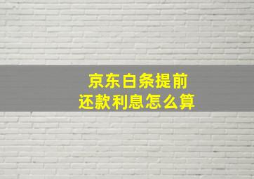 京东白条提前还款利息怎么算