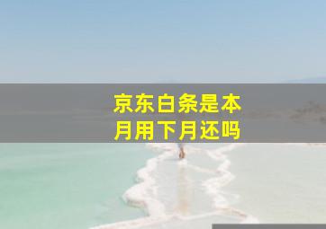 京东白条是本月用下月还吗