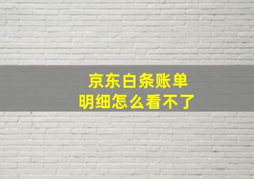 京东白条账单明细怎么看不了