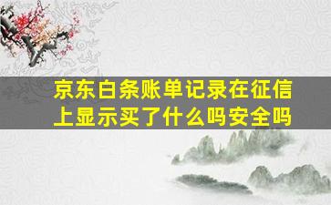 京东白条账单记录在征信上显示买了什么吗安全吗