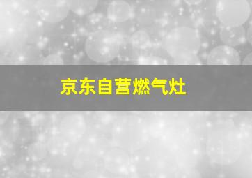 京东自营燃气灶