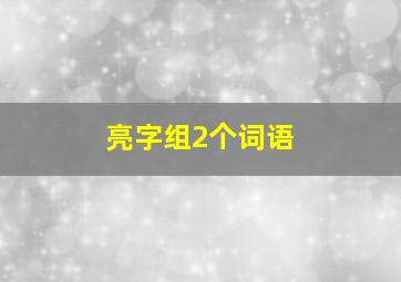 亮字组2个词语