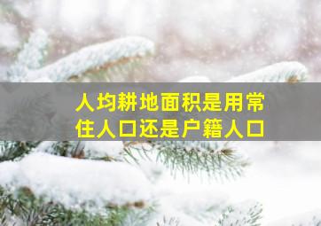 人均耕地面积是用常住人口还是户籍人口