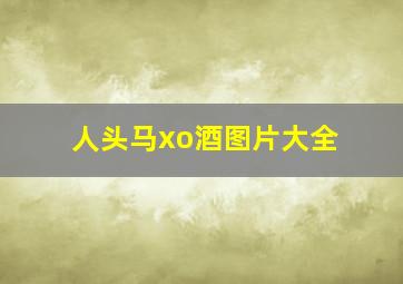 人头马xo酒图片大全