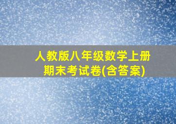 人教版八年级数学上册期末考试卷(含答案)