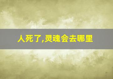 人死了,灵魂会去哪里