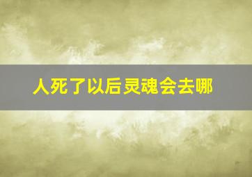 人死了以后灵魂会去哪