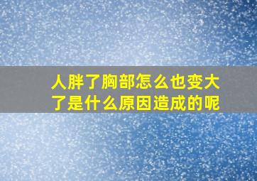 人胖了胸部怎么也变大了是什么原因造成的呢