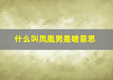 什么叫凤凰男是啥意思