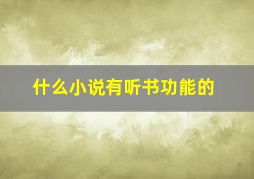 什么小说有听书功能的