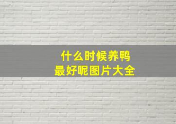 什么时候养鸭最好呢图片大全