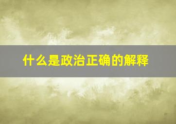 什么是政治正确的解释