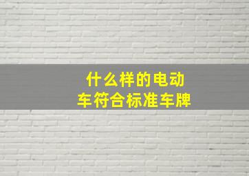 什么样的电动车符合标准车牌