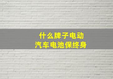 什么牌子电动汽车电池保终身