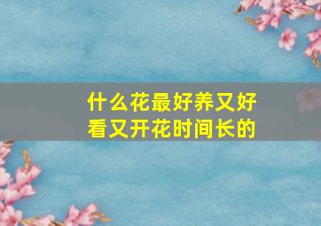 什么花最好养又好看又开花时间长的