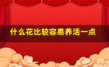 什么花比较容易养活一点