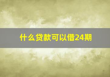 什么贷款可以借24期