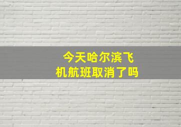 今天哈尔滨飞机航班取消了吗