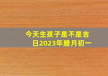 今天生孩子是不是吉日2023年腊月初一