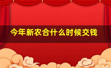 今年新农合什么时候交钱