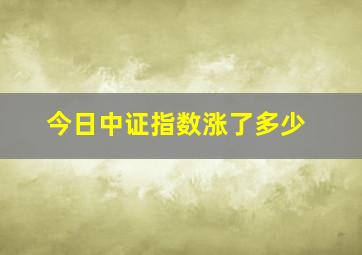 今日中证指数涨了多少