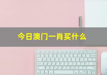 今日澳门一肖买什么