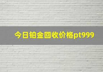 今日铂金回收价格pt999