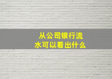 从公司银行流水可以看出什么