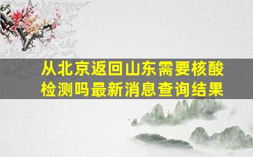 从北京返回山东需要核酸检测吗最新消息查询结果