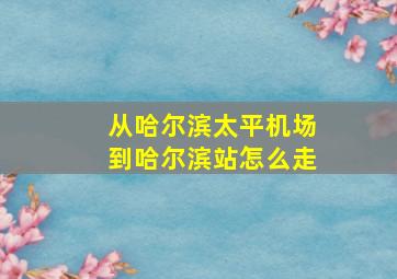 从哈尔滨太平机场到哈尔滨站怎么走