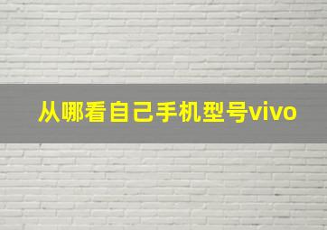 从哪看自己手机型号vivo