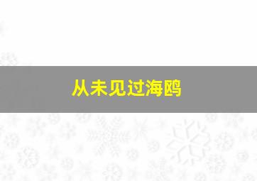 从未见过海鸥