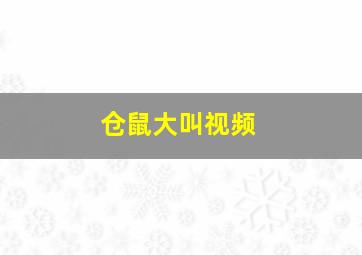 仓鼠大叫视频