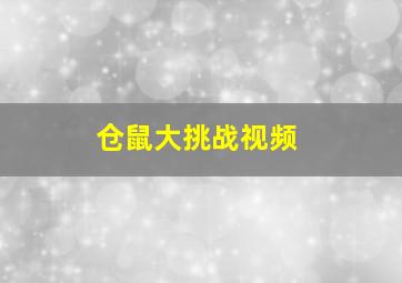 仓鼠大挑战视频