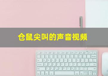 仓鼠尖叫的声音视频