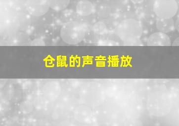 仓鼠的声音播放