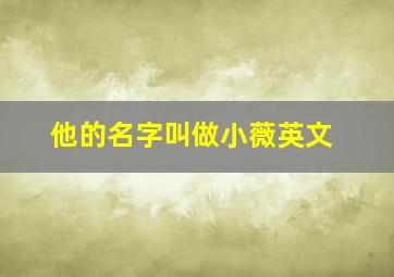 他的名字叫做小薇英文