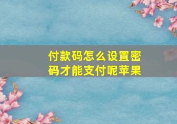 付款码怎么设置密码才能支付呢苹果