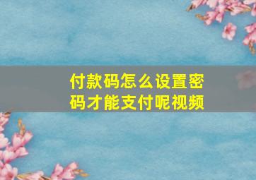 付款码怎么设置密码才能支付呢视频