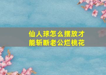 仙人球怎么摆放才能斩断老公烂桃花