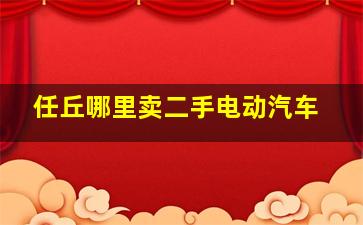 任丘哪里卖二手电动汽车