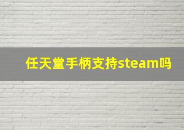 任天堂手柄支持steam吗