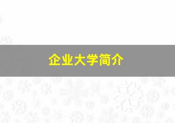 企业大学简介