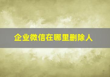 企业微信在哪里删除人