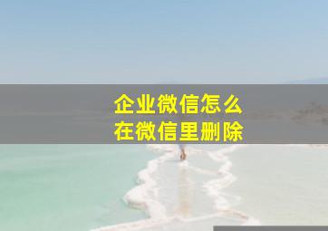 企业微信怎么在微信里删除