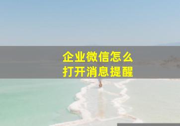 企业微信怎么打开消息提醒